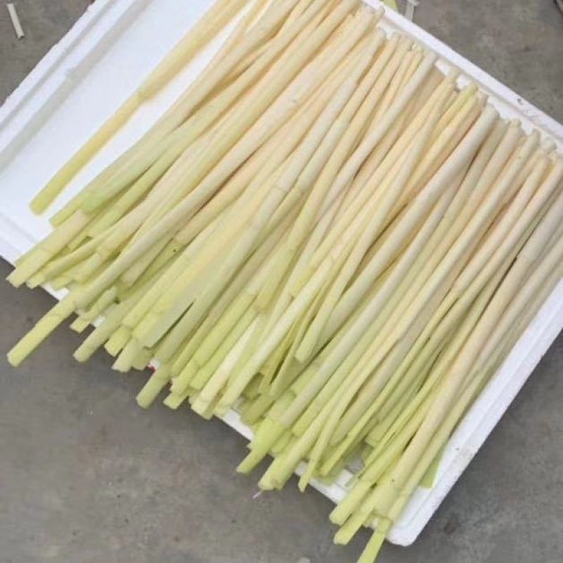 大量供应鲜蒲菜物美价廉，量大从优欢迎你的光临