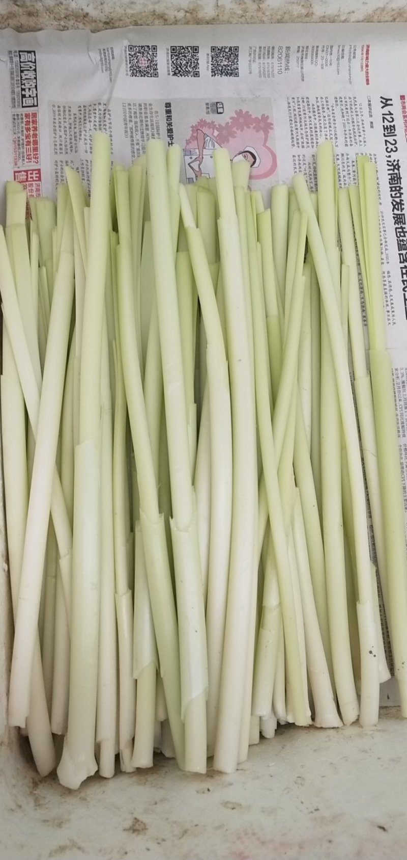 大量供应鲜蒲菜物美价廉，量大从优欢迎你的光临