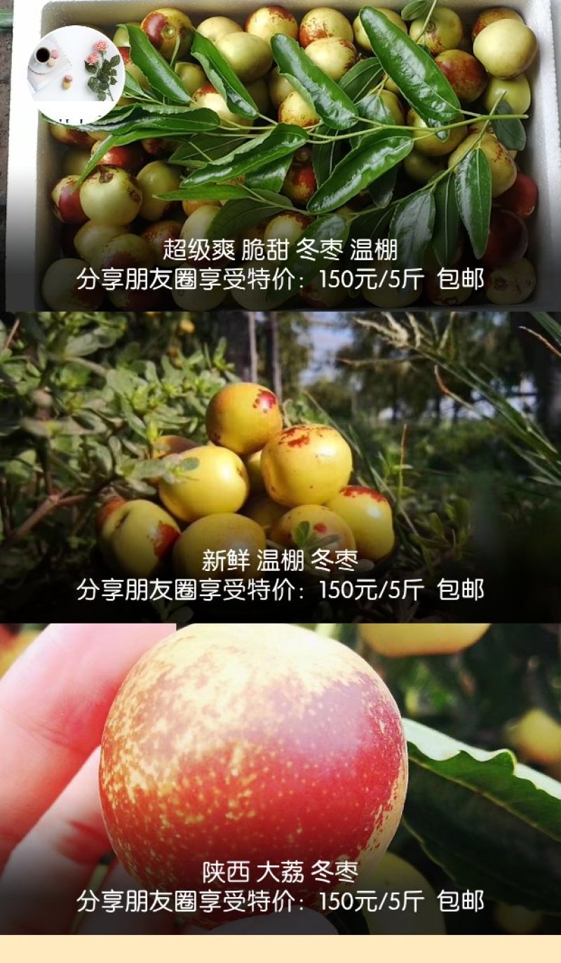 大荔A级冬枣脆甜直发