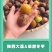 大荔A级冬枣脆甜直发