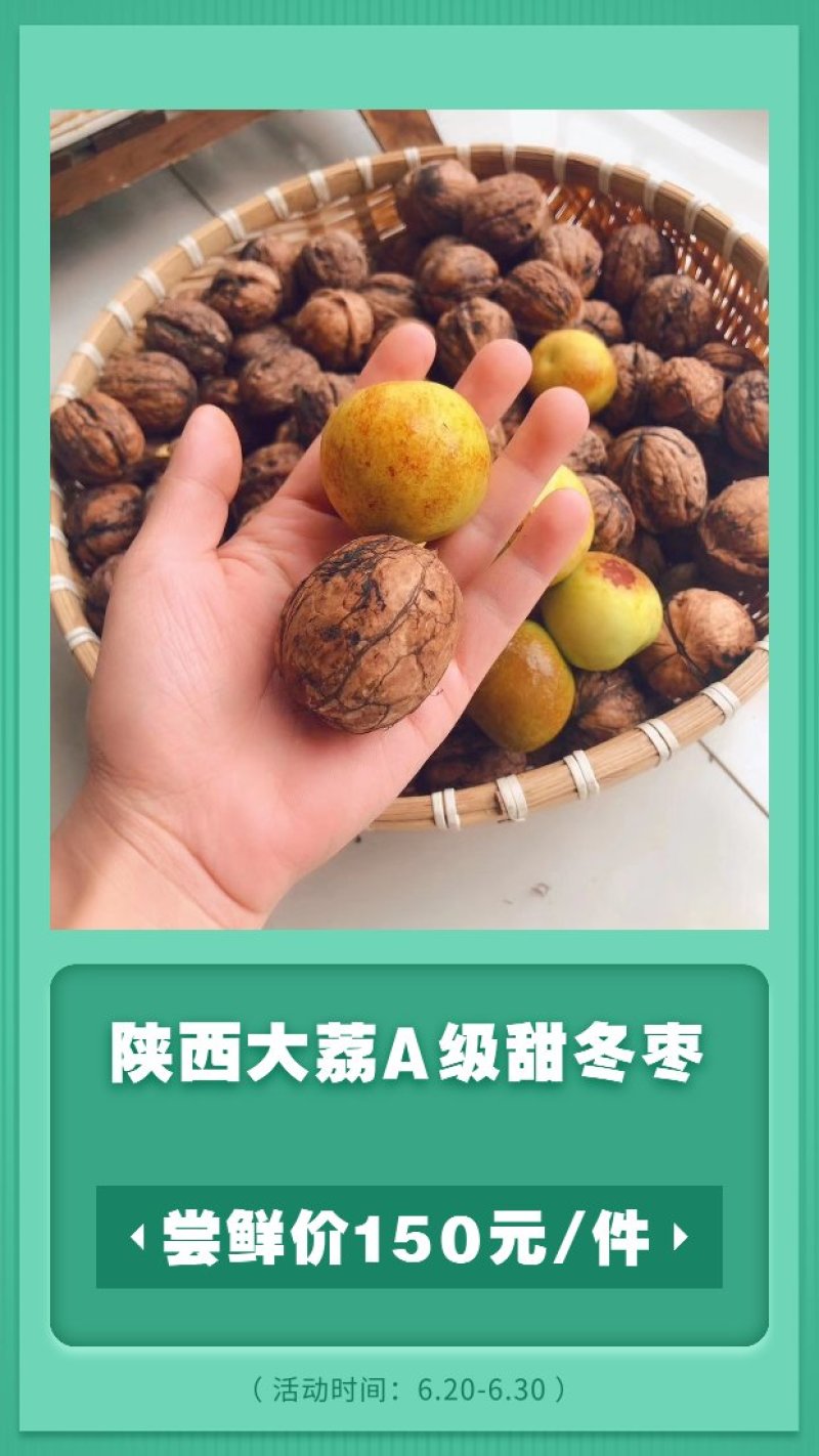 大荔A级冬枣脆甜直发