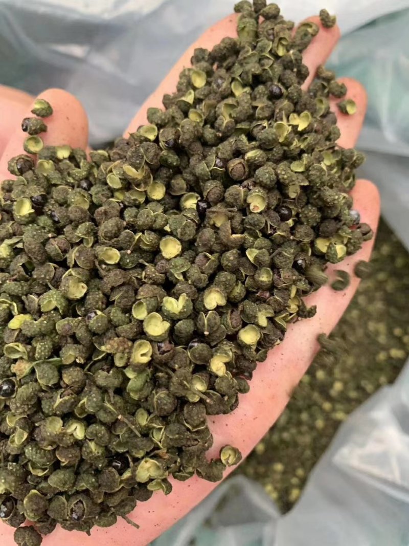 汉源青花椒产地一手货源现货供应