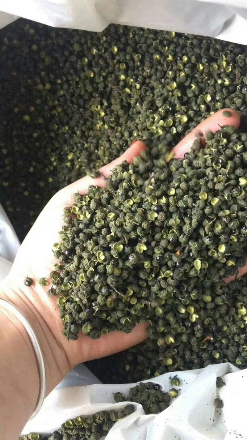 汉源青花椒产地一手货源现货供应