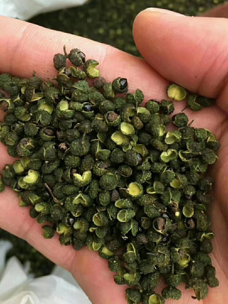 汉源青花椒产地一手货源现货供应