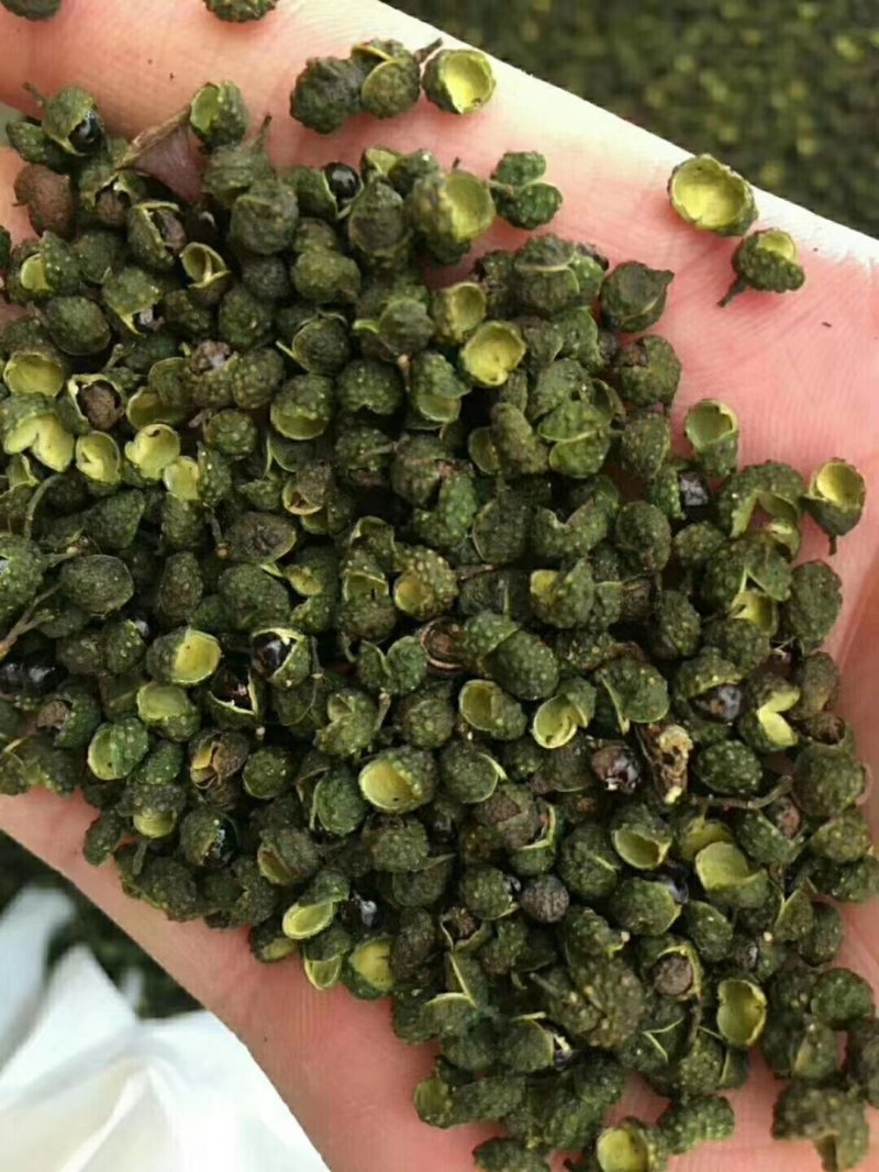 汉源青花椒产地一手货源现货供应