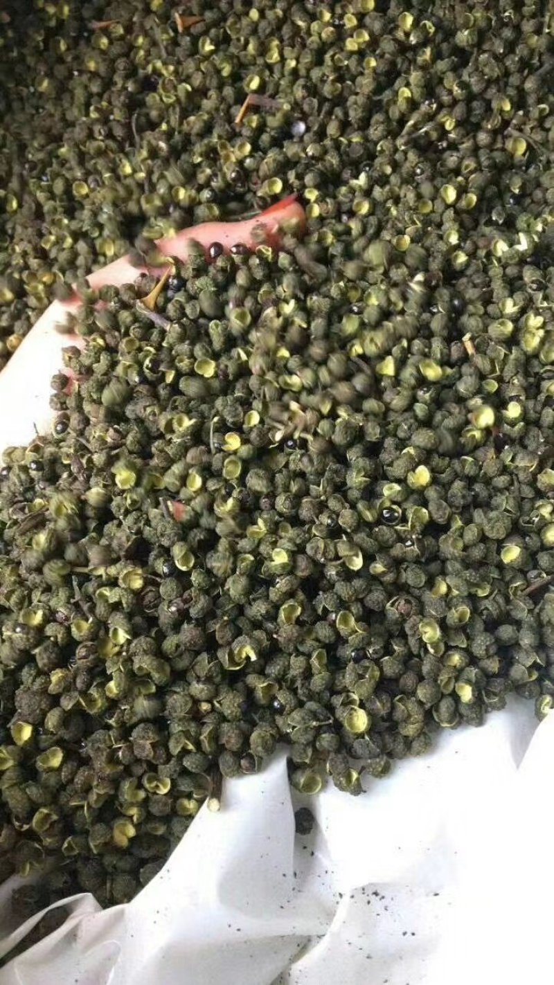 汉源青花椒产地一手货源现货供应