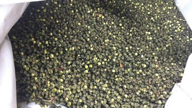 汉源青花椒产地一手货源现货供应