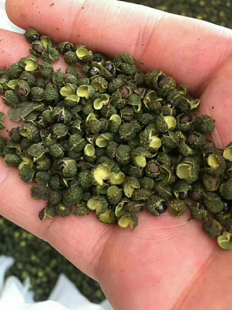 汉源青花椒产地一手货源现货供应