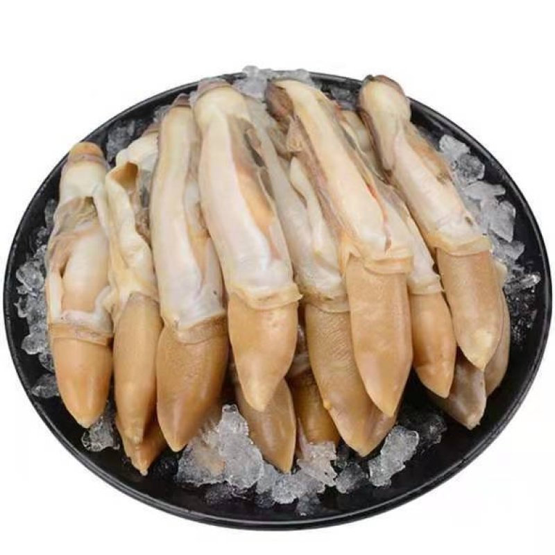 蛏子肉海圣子竹蛏鲜活新鲜现剥水产竹节蛏王肉火锅食材蛏王肉