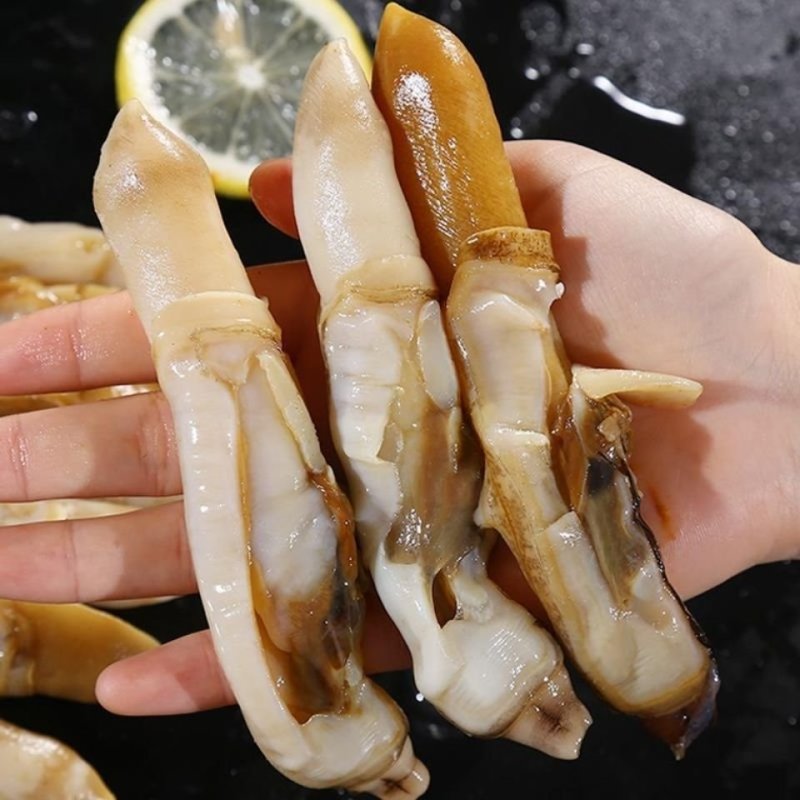 蛏子肉海圣子竹蛏鲜活新鲜现剥水产竹节蛏王肉火锅食材蛏王肉