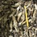 蛏子肉海圣子竹蛏鲜活新鲜现剥水产竹节蛏王肉火锅食材蛏王肉