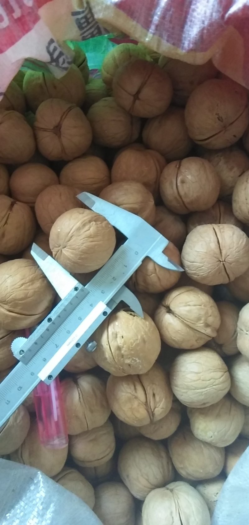 新疆薄皮核桃。不一样的品种不一样的口感。不信尝尝包你满意