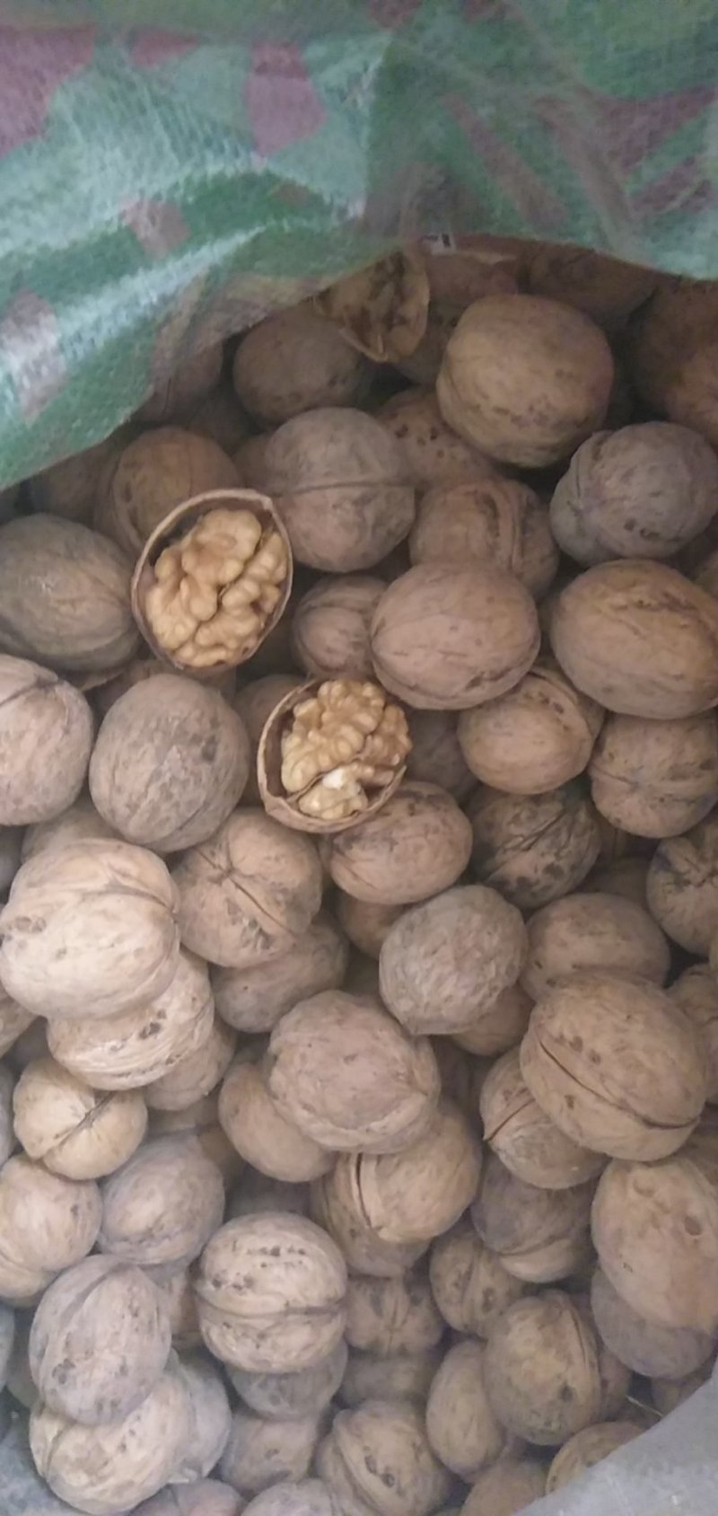 新疆薄皮核桃。不一样的品种不一样的口感。不信尝尝包你满意