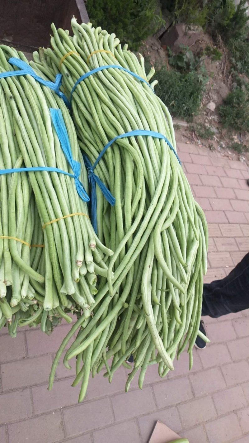 豆角大量上市了