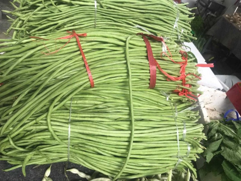 豆角大量上市了