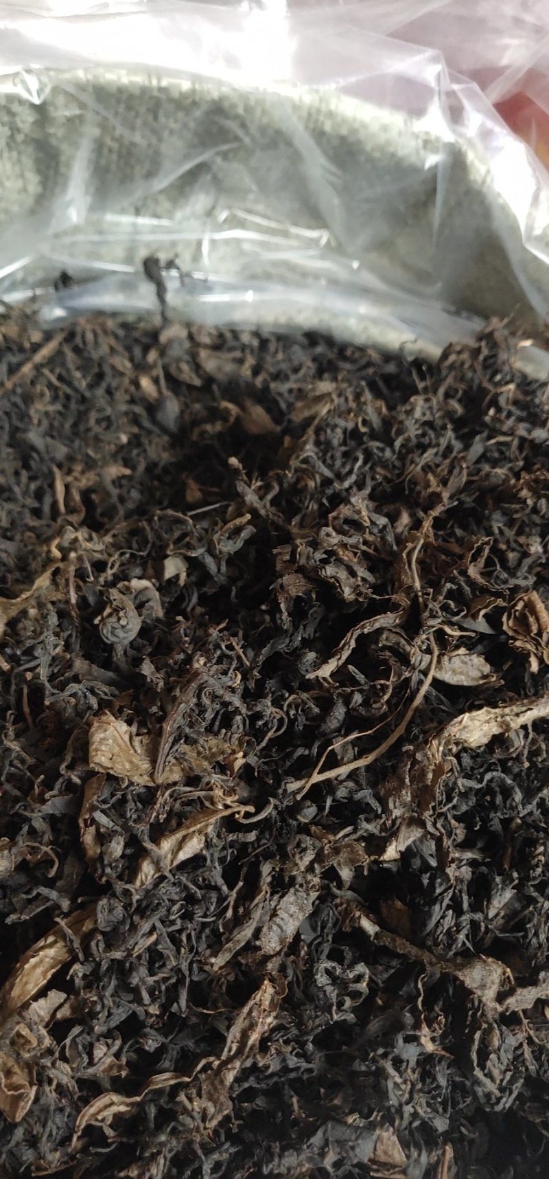 青钱柳茶