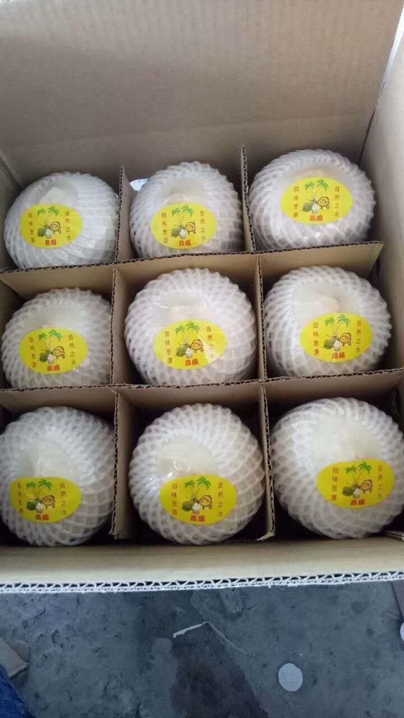 泰国椰青