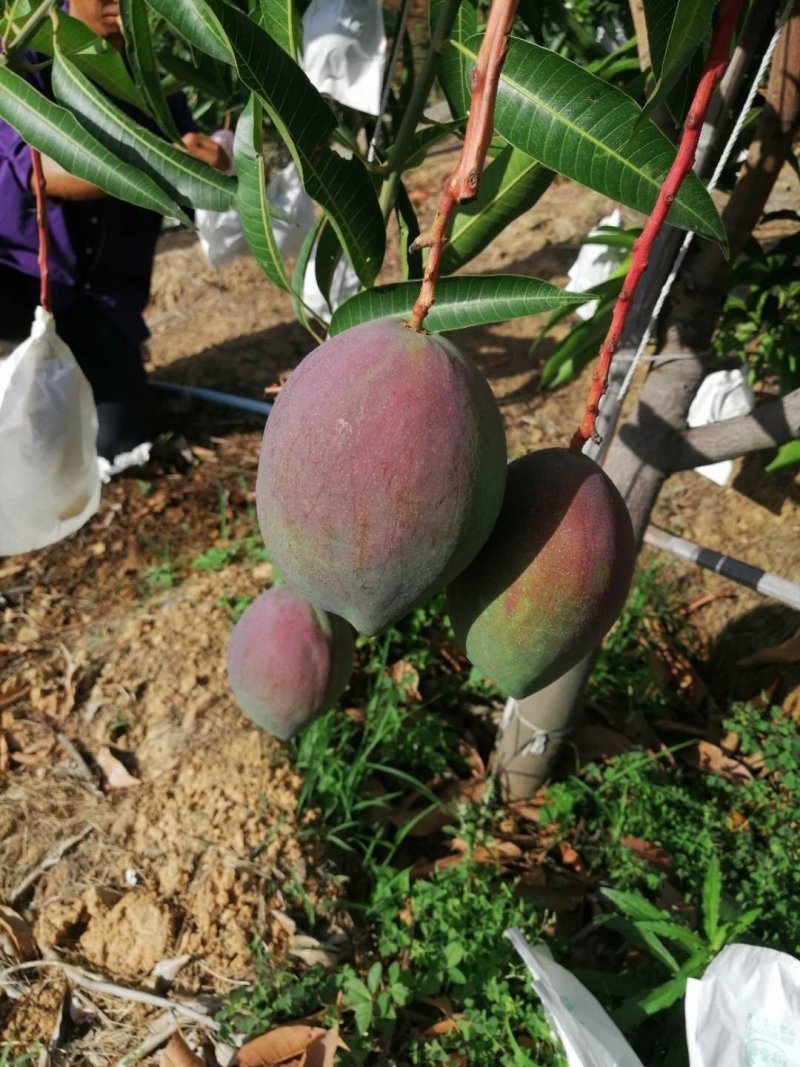 有可能我们就差一次合作的机，让成功跟我们擦肩而过