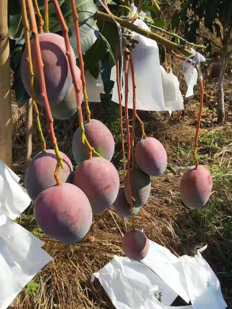 有可能我们就差一次合作的机，让成功跟我们擦肩而过