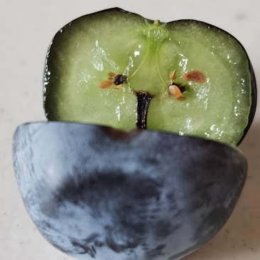 精品蓝莓大果蓝莓酸甜可口蓝莓
