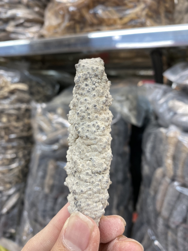 海参黄玉参黄肉参白玉参黄玉海参干货酒店专用海参滋补佳品