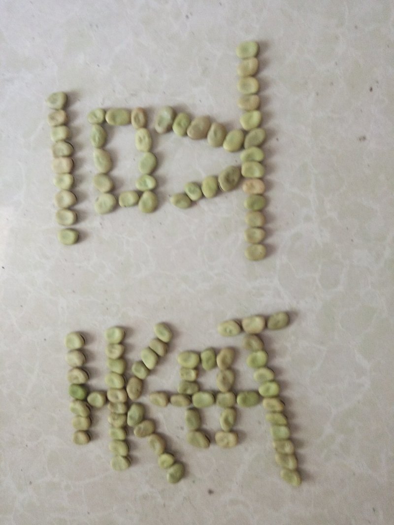 蚕豆，自家几亩山坡地种植的小颗粒，老种子。常食可健脑。