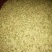 蚕豆，自家几亩山坡地种植的小颗粒，老种子。常食可健脑。