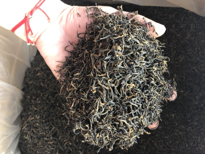 金骏眉黄芽2020年头春茶叶武夷山桐木关红茶茶叶