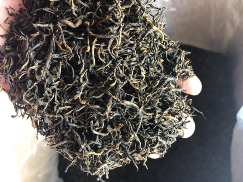 金骏眉黄芽2020年头春茶叶武夷山桐木关红茶茶叶
