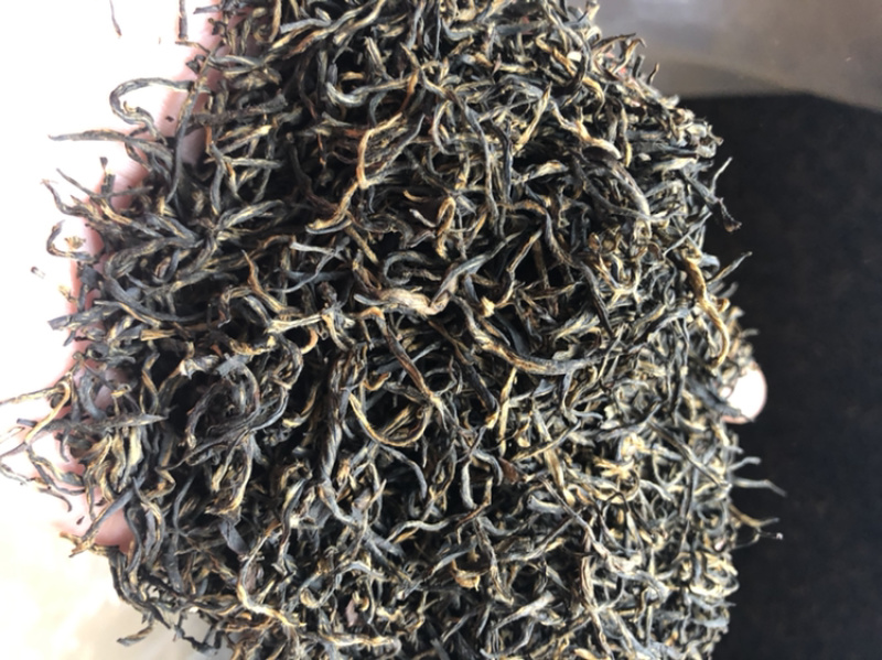 金骏眉黄芽2020年头春茶叶武夷山桐木关红茶茶叶