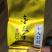 金骏眉黄芽2020年头春茶叶武夷山桐木关红茶茶叶