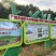 正宗灵山桂味荔枝核细肉厚清甜带桂花香可一件代发