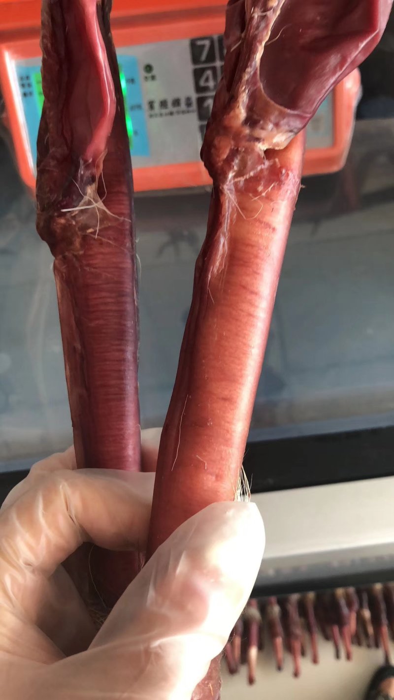吉林双阳鹿场东北发情期种鹿鞭整支泡酒红烧量大从优