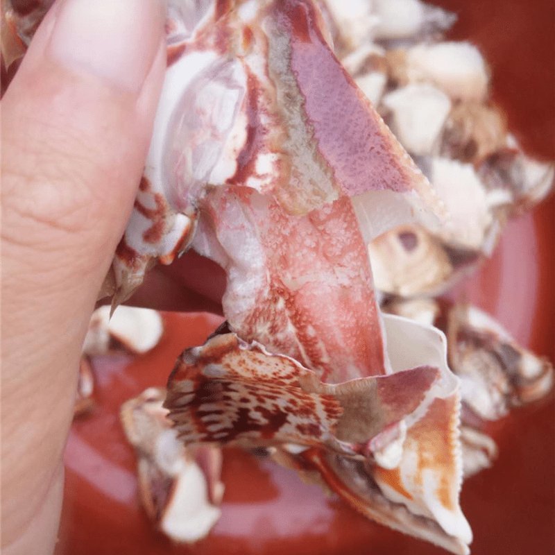 元宝蟹馒头蟹腿钳梭子蟹钳沙蟹钳蟹脚新鲜冷冻沙蟹脚石蟹脚