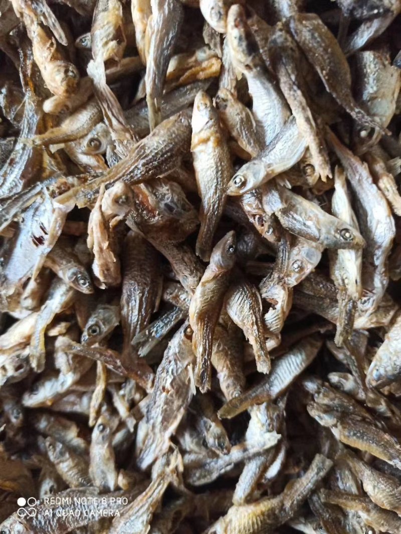 麦穗鱼油炸麦穗鱼干水煮麦穗鱼干水产干货无盐