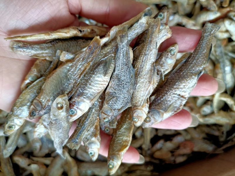 麦穗鱼油炸麦穗鱼干水煮麦穗鱼干水产干货无盐