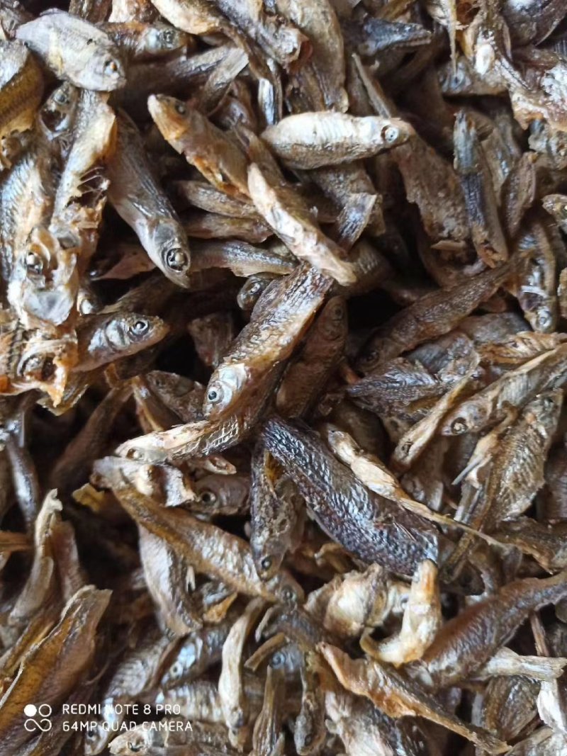 麦穗鱼油炸麦穗鱼干水煮麦穗鱼干水产干货无盐