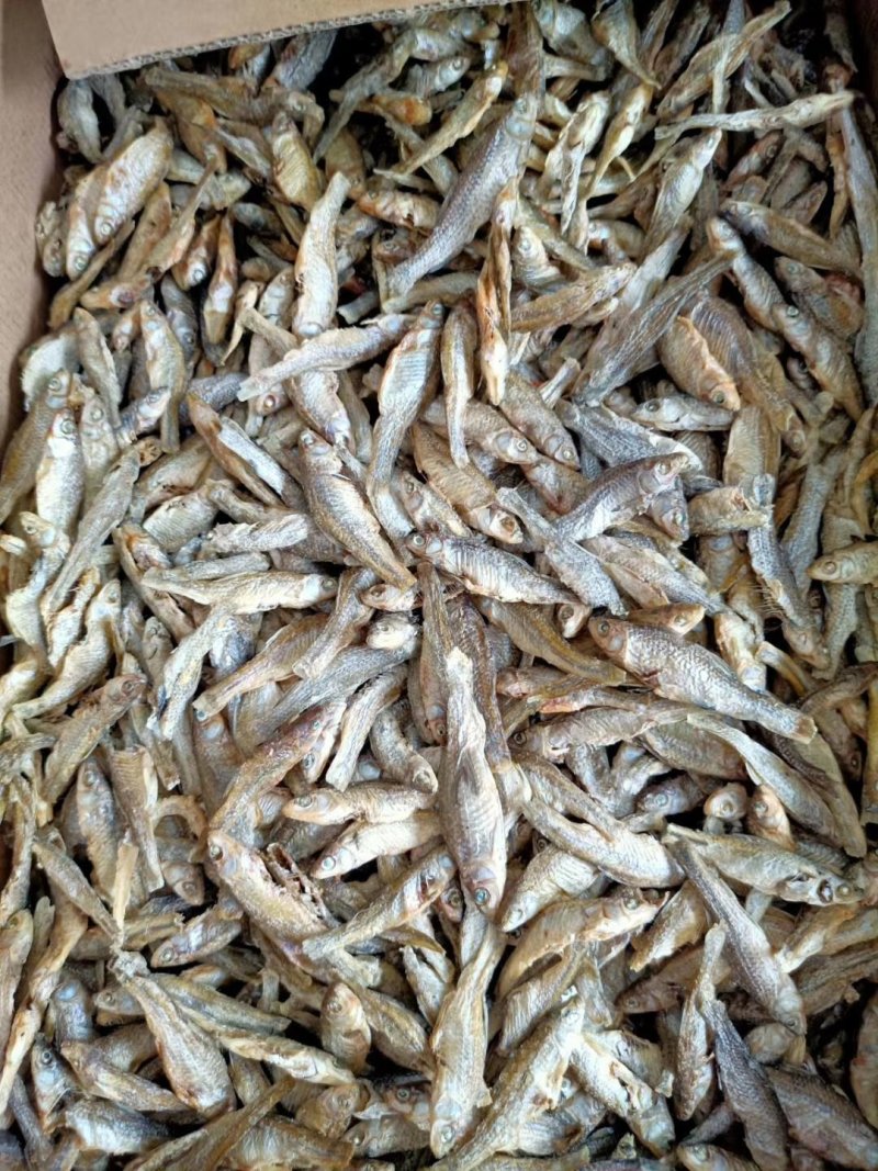 麦穗鱼油炸麦穗鱼干水煮麦穗鱼干水产干货无盐
