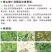 瑞邦75%二氯吡啶酸油菜田除草剂专除刺儿菜苣荬菜鬼针草