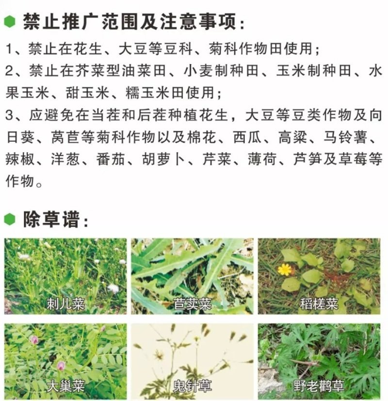 瑞邦75%二氯吡啶酸油菜田除草剂专除刺儿菜苣荬菜鬼针草