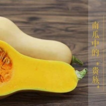 陕西汉中精品奶油南瓜2～3斤诚信代办一手货源代发全国