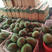 庞各庄袖珍礼品西瓜，产地直销，纯沙地种植，甜度高