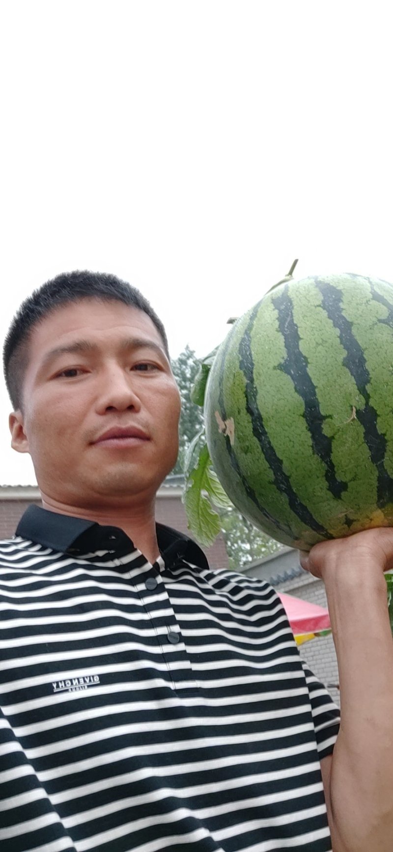 【火爆热销中】美都西瓜包熟度甘甜可口，皮薄肉多欢迎来电