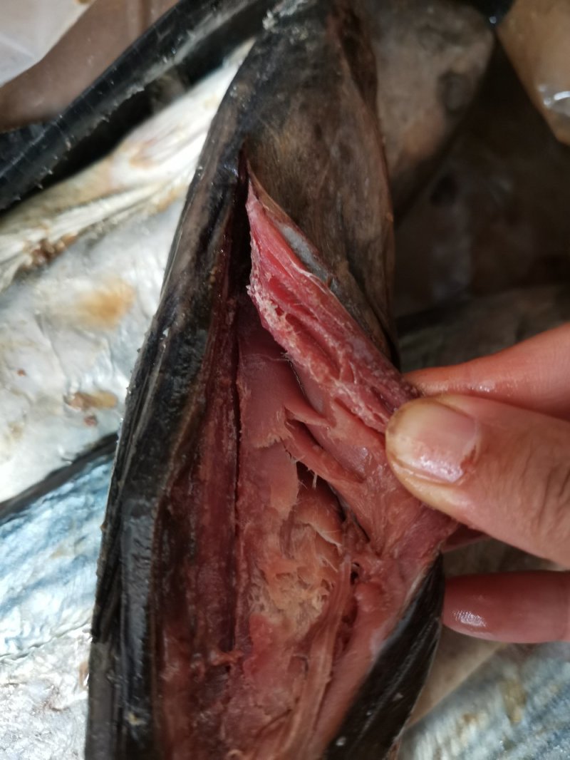 咸鲅鱼肉块咸鱼干花鲅鱼马鲛鱼去头尾，梅香发酵