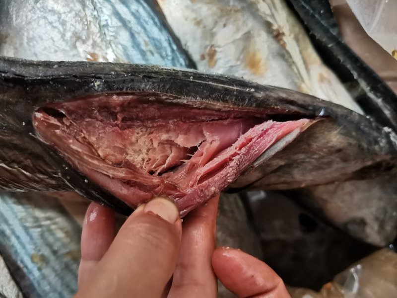 咸鲅鱼肉块咸鱼干花鲅鱼马鲛鱼去头尾，梅香发酵