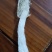 福建南平竹荪新货！