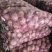 河西二红洋葱