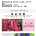 优质飞燕草种子草花种子花种子耐寒耐高温四季播种