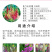 优质飞燕草种子草花种子花种子耐寒耐高温四季播种
