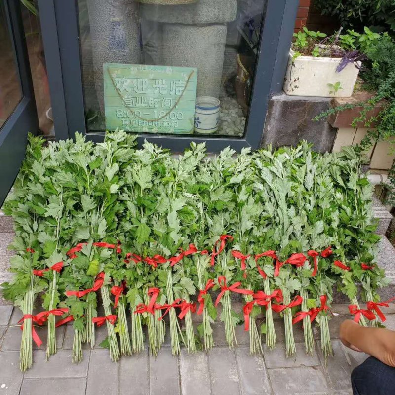 浓情端午，为艾而生
